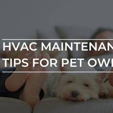 7 HVAC Maintenance Tips for Pet Owners | Kitchener ON