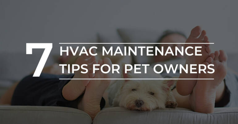 7 HVAC Maintenance Tips for Pet Owners | Kitchener ON