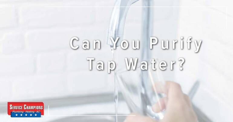 Can You Purify Tap Water? – Service Champions Plumbing, Heating & AC | Kitchener ON