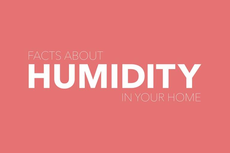 Video – Facts About Humidity | Kitchener ON