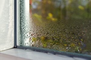 How to Prevent Broken Windows in Your Home | Kitchener ON