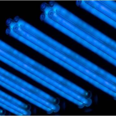 Benefits of UV Lights for Improving Indoor Air Quality In Your Business | Kitchener ON