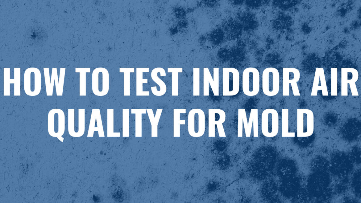 Test Indoor Air For Mold | Kitchener ON