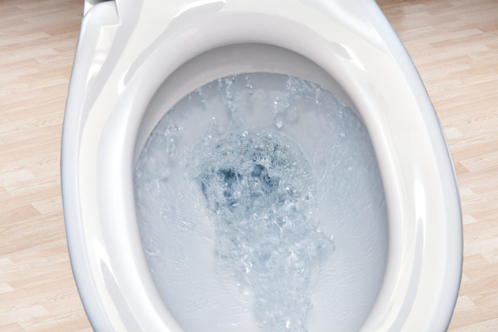 5 Causes Your Bathroom Gained’t Flush & How To Repair It