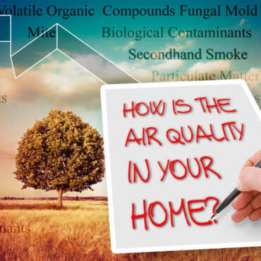 7 Methods to Enhance Indoor Air High quality in Your Residence