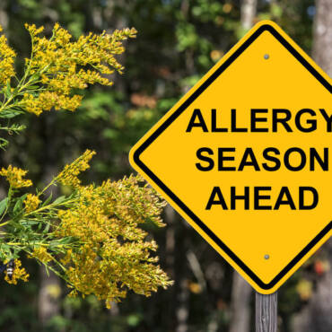 Prepare Your Home for Allergy Season | Kitchener ON