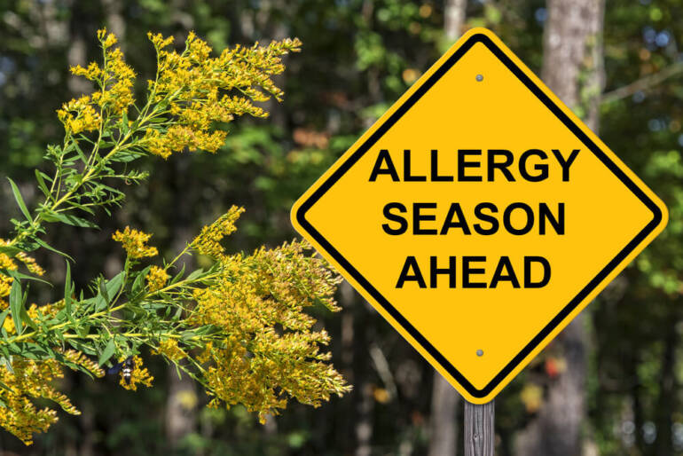 Prepare Your Home for Allergy Season | Kitchener ON