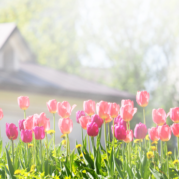 When Is the Finest Time to Flip Off the Warmth in Spring?