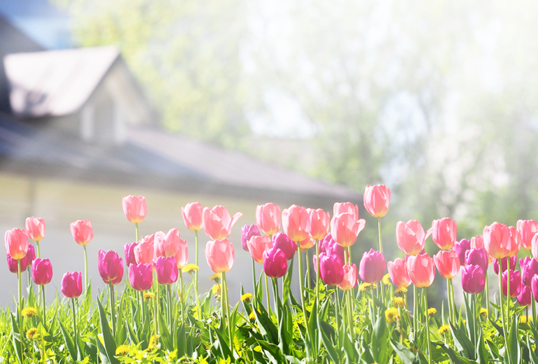 When Is the Finest Time to Flip Off the Warmth in Spring?