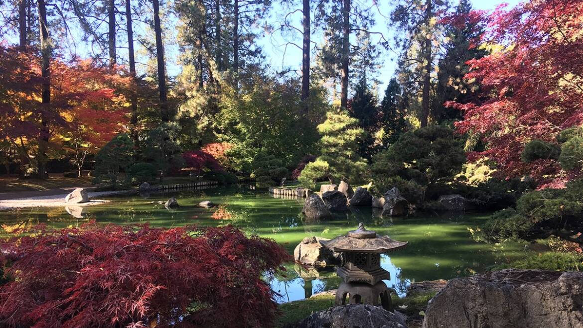 Autumn in Spokane | R&R Heating & Air Conditioning