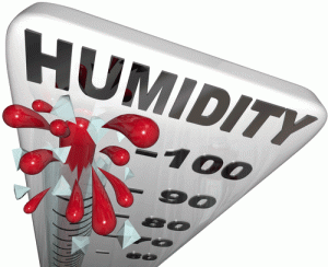 When to Think about Including a Dehumidifier to Your House