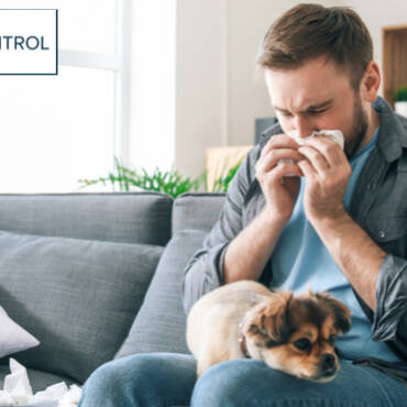 Enhance Indoor Air High quality, Lower Spring Allergy Signs