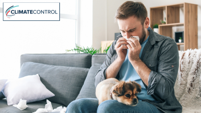 Enhance Indoor Air High quality, Lower Spring Allergy Signs