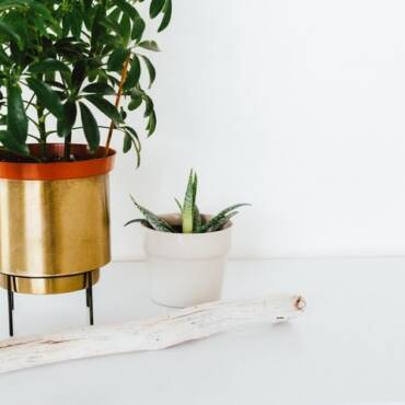 How Can You Inform If Your Indoor Air High quality Is Poor