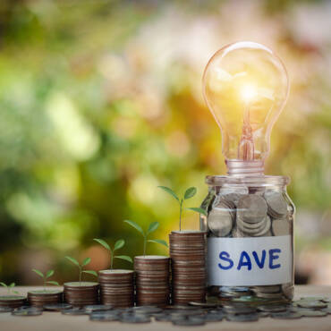 What Can You Do To Save Vitality? [A Homeowner’s Guide]