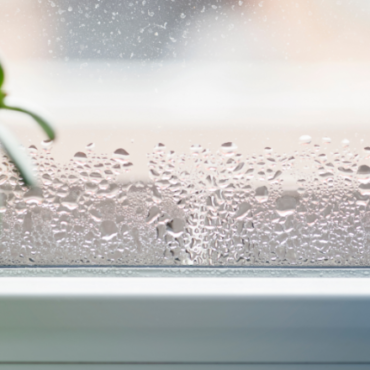 Ought to You Go away a Dehumidifier On All The Time?