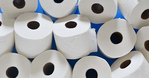 What’s the Finest Kind of Rest room Paper?