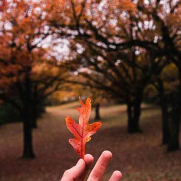 HVAC Tricks to Observe for Fall