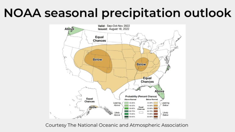 “Triple-dip” La Niña: what’s it, and the way will it have an effect on my climate?