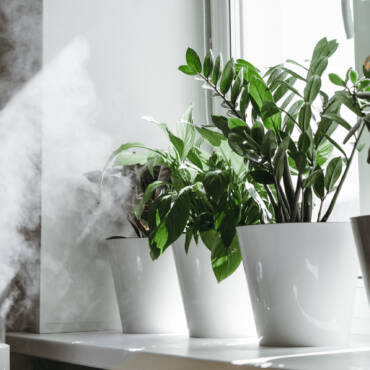 How Lengthy Ought to My Humidifier Be On?