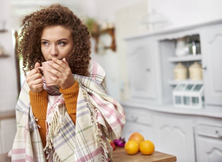 Ought to You Have a Steam Humidifier Put in?