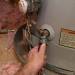 The way to Lengthen the Lifetime of Your Water Heater