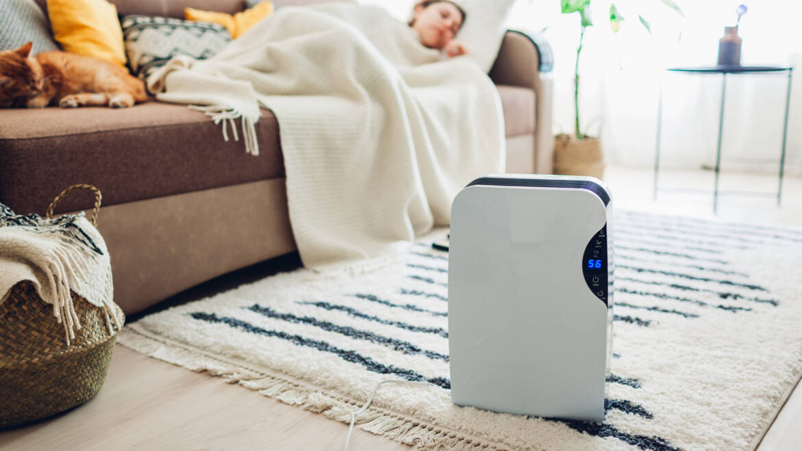 3 Advantages Of Dehumidifiers | Full Consolation