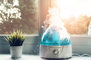 Can I Use a Humidifier on the Identical Time as an Air Conditioner?