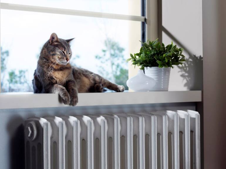 4 HVAC Upkeep Suggestions for Pet House owners in Katy, TX