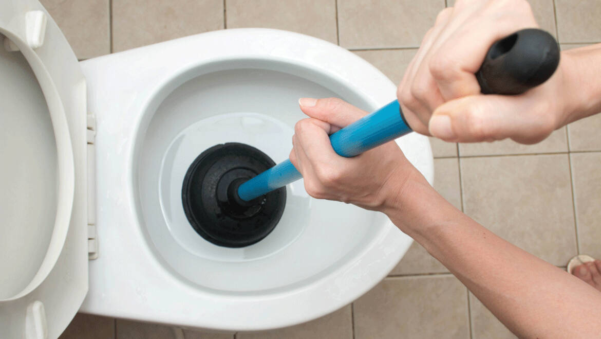 Flushing Nervousness? Right here is The way to Keep away from Bathroom Clogs