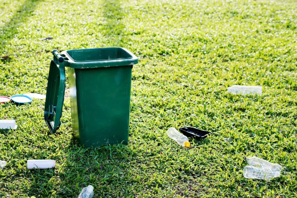 Litter: What Is It, The place Does It Come From, and Why Is It a Downside?