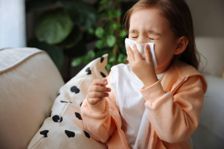 What Does Indoor Air High quality Must Do With Allergy symptoms?