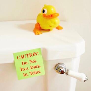 Hushing Your Excessive-Pitched Hum: Learn how to Repair Squeaking Bathrooms – John C. Flood