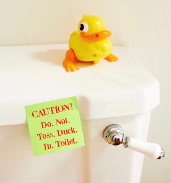 Hushing Your Excessive-Pitched Hum: Learn how to Repair Squeaking Bathrooms – John C. Flood