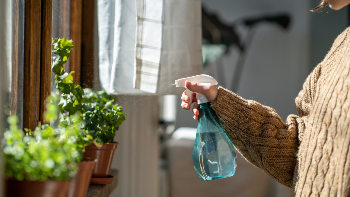 Tricks to Make Indoor Air Safer to Breathe