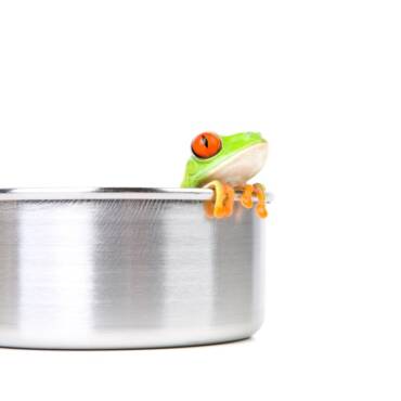 Ontological Shock: Why We Can’t Be the Frog within the Pot