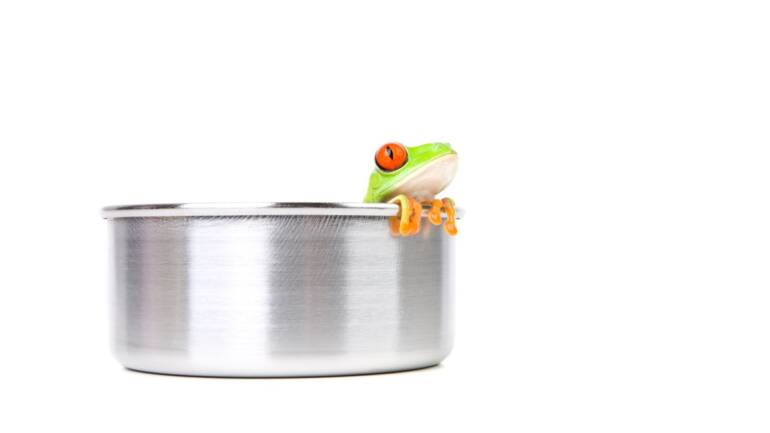 Ontological Shock: Why We Can’t Be the Frog within the Pot