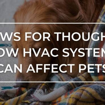 Paws for Thought: How HVAC Methods Can Have an effect on Pets