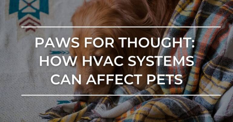 Paws for Thought: How HVAC Methods Can Have an effect on Pets