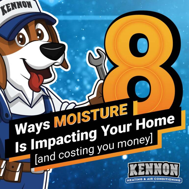 8 Methods Moisture Is Impacting Your Dwelling [and costing you money]