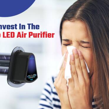 Why Spend money on the Reme Halo Air Air purifier?