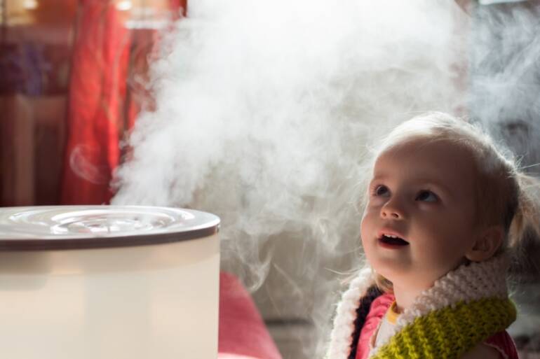 Advantages Of Utilizing A Humidifier In Your Dwelling