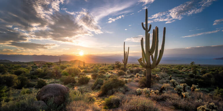 Respiratory Straightforward within the Desert 