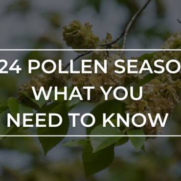 2024 Pollen Season in North Carolina: What You Ought to Know