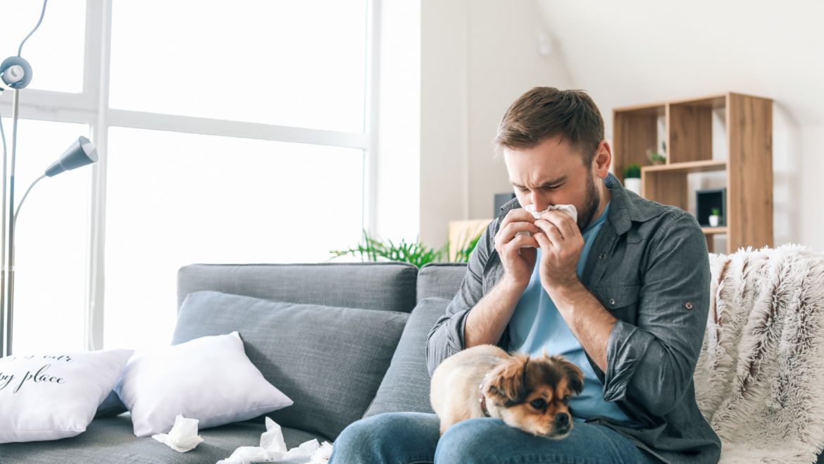 7 Methods Your HVAC Can Fight Seasonal Allergic reactions