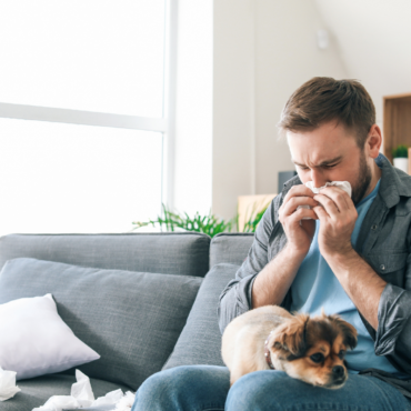 7 Methods Your HVAC Can Fight Seasonal Allergic reactions