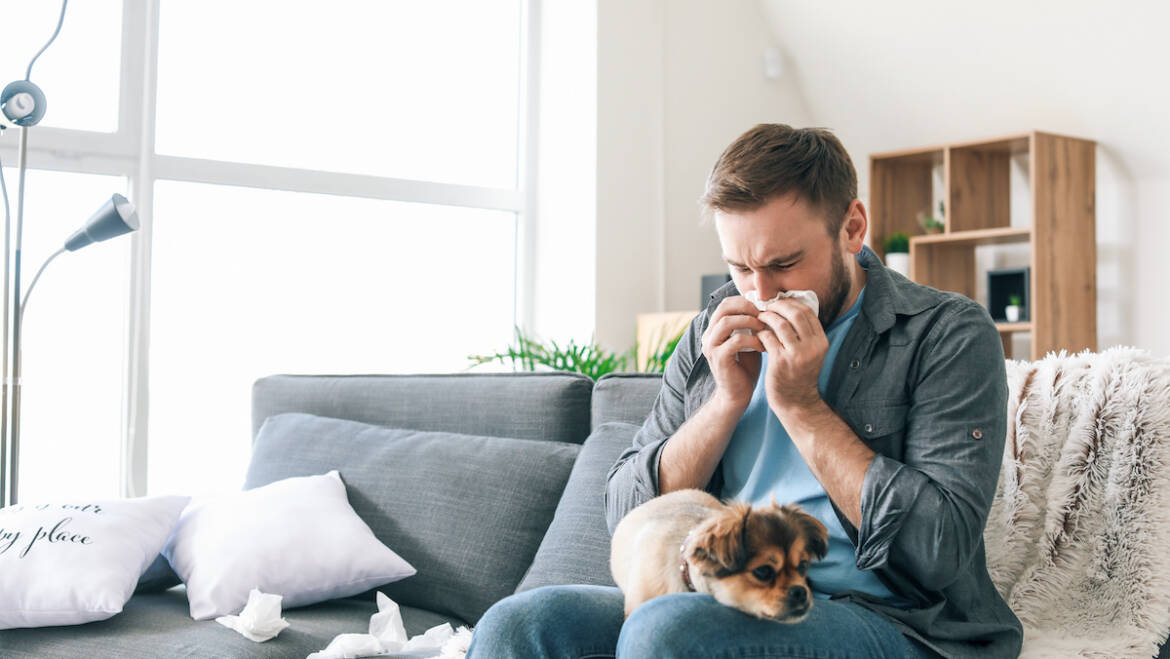 Clearing the Air: How Indoor Air High quality Impacts Allergic reactions