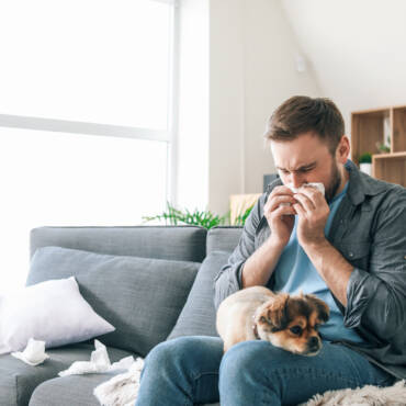 Clearing the Air: How Indoor Air High quality Impacts Allergic reactions