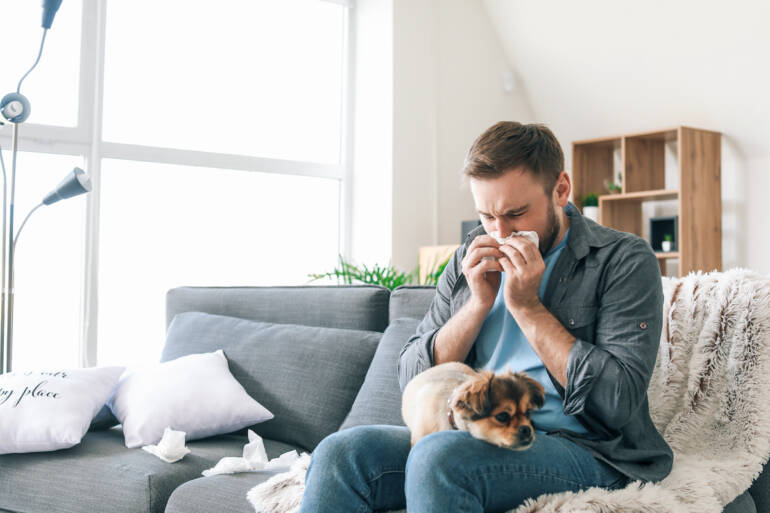 Clearing the Air: How Indoor Air High quality Impacts Allergic reactions