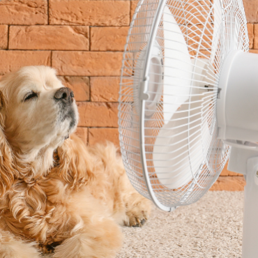 5 Signs It’s Time To Replace Your AC